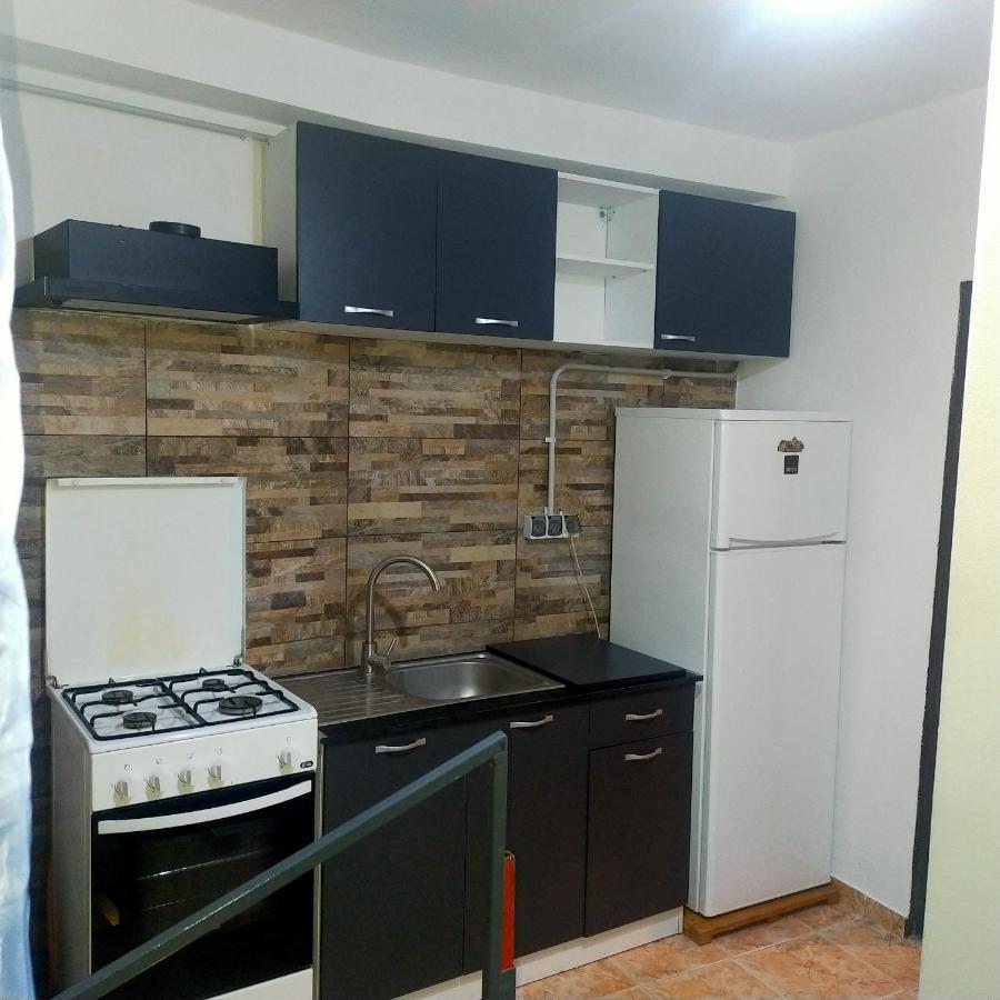 Vila Elena Ap 1 Bucharest Exterior photo